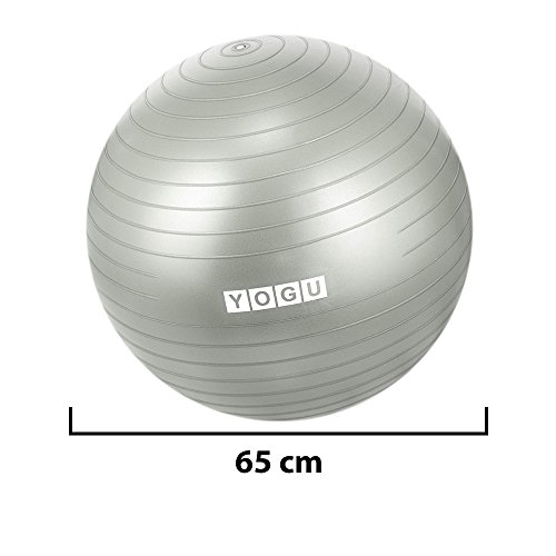 YOGU Stability Exercise Ball 65cm Yoga Balance Ball Birthing Ball with Air Pump Anti-Slip & Anti-Burst Supports 2000lbs Great for Yoga Pilates Abdominal Workout Fitness Ball and Office Chair