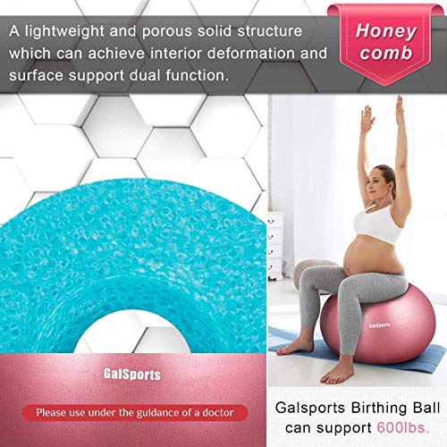 Galsports Pregnancy Birthing Ball, Yoga Exercise Birth Ball Chair for Delivery & Training & Fitness, Extra Thick Non-Toxic Anti-Burst Labor Ball with Quick Pump(Dusty Rose,L(58-65cm))