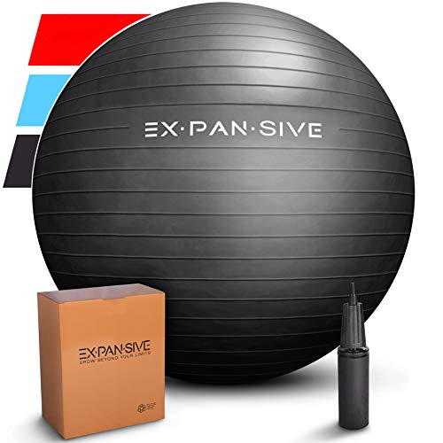 EXPANSIVE LIVING Exercise Ball (Black, 65cm) - 2,000 lbs Stability Ball. Anti Burst & Heavy Duty for Yoga, Balance and Birthing. Physio Ball | Office Chair | Professional Grade Swiss Ball