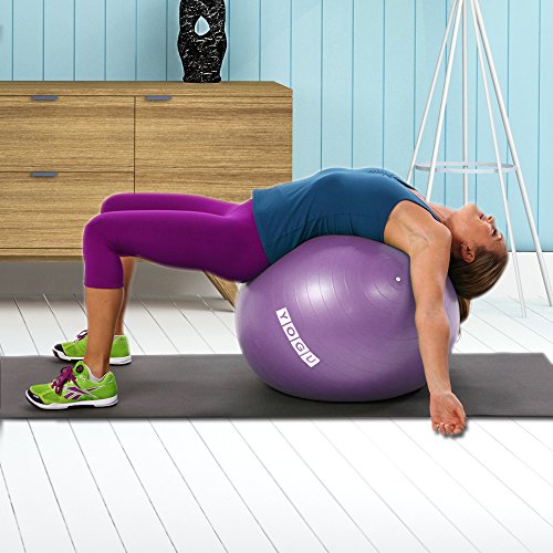 YOGU Stability Exercise Ball 65cm Yoga Balance Ball Birthing Ball with Air Pump Anti-Slip & Anti-Burst Supports 2000lbs Great for Yoga Pilates Abdominal Workout Fitness Ball and Office Chair