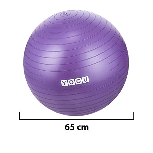 YOGU Stability Exercise Ball 65cm Yoga Balance Ball Birthing Ball with Air Pump Anti-Slip & Anti-Burst Supports 2000lbs Great for Yoga Pilates Abdominal Workout Fitness Ball and Office Chair
