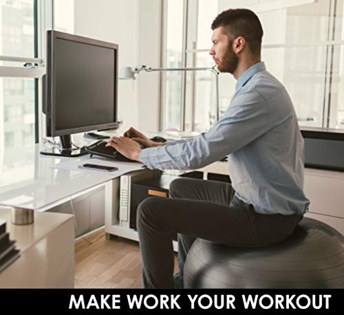 EXPANSIVE LIVING Exercise Ball (Black, 65cm) - 2,000 lbs Stability Ball. Anti Burst & Heavy Duty for Yoga, Balance and Birthing. Physio Ball | Office Chair | Professional Grade Swiss Ball