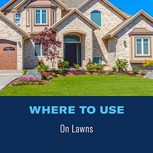 BioAdvanced Lawn Fungus Control Spray, 32 oz