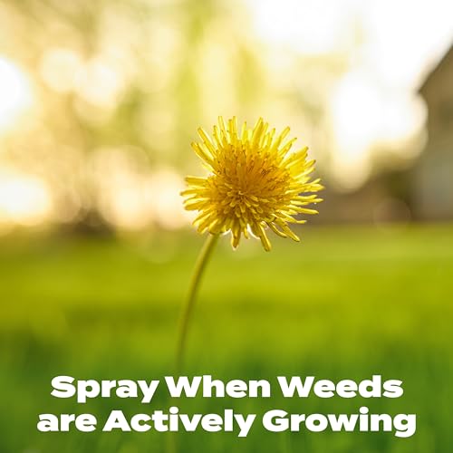 Scotts Liquid Turf Builder Plus 2 Weed Control