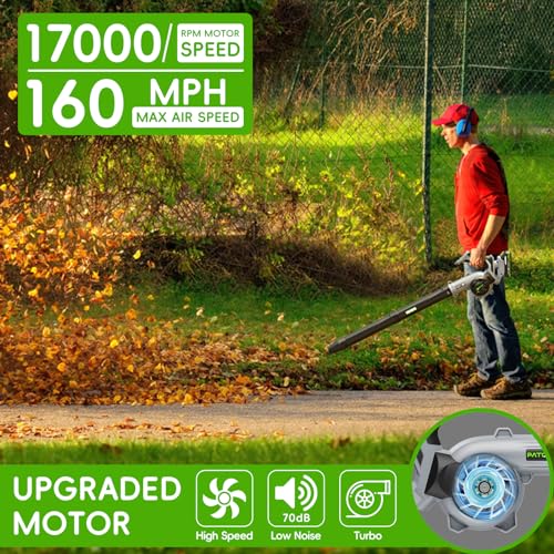 Cordless Electric Leaf Blower with 2 Batteries & Charger
