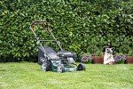 Webb 16” Self-Propelled Petrol Lawnmower with 7 Heights