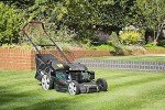 Webb 20" Self-Propelled Petrol Lawnmower with Bag