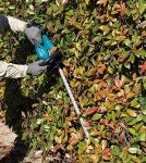 Makita 18V 60cm Hedge Trimmer - No Battery/Charger