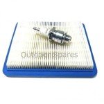 Hayter Harrier 48 Petrol Mower Service Kit