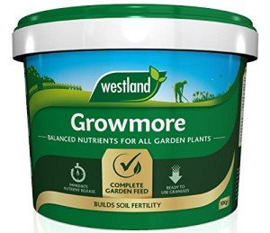 Westland Growmore Garden Fertiliser - 10kg Bag