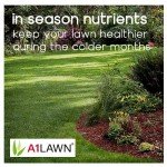 A1 Autumn Winter 10kg Lawn Fertiliser - 6-5-10
