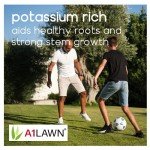 A1 Autumn Winter 10kg Lawn Fertiliser - 6-5-10