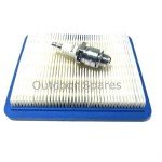 Petrol Lawn Mower Service Kit for Briggs & Stratton