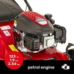 Mountfield SP41 Self-Propelled Petrol Lawnmower 39cm