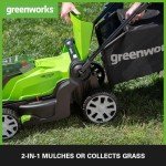 Greenworks Cordless Lawnmower with 2 Batteries & Charger