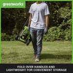 Greenworks 24V Cordless Lawnmower for Small Lawns