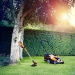 LawnMaster MX 24V Cordless Mower and Trimmer Set