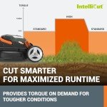 WORX 36V Cordless 34cm Push Lawn Mower