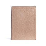 Rose Gold CSB Study Bible with Commentary & Illustrations