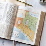 Rose Gold CSB Study Bible with Commentary & Illustrations