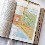 Rose Gold Indexed CSB Study Bible with Notes