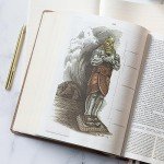Rose Gold CSB Study Bible with Commentary & Illustrations