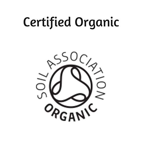 Organic Focus Coffee Beans - 500g