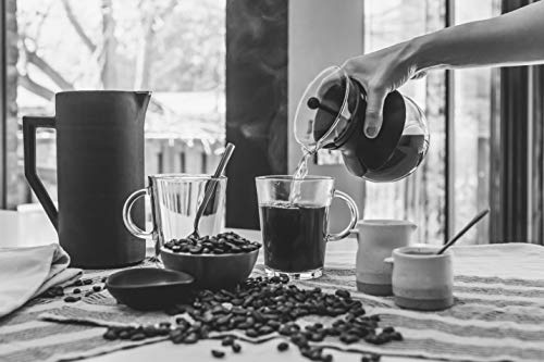 Colombian Rainforest Alliance Arabica | UK Roasted, Whole Beans
