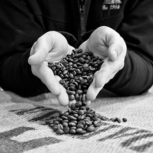 Monsoon Malabar Whole Coffee Beans | UK Roasted (8 x 1KG)