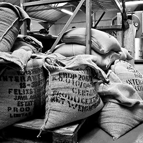 Monsoon Malabar Whole Coffee Beans | UK Roasted (8 x 1KG)