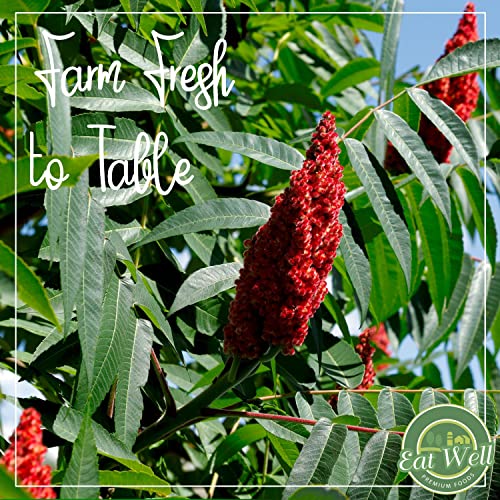 Gourmet Sumac Spice Powder 4 oz Shaker