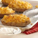 Garlic & Onion All-Purpose Seasoning Blend, 4.25 oz