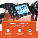 TERRADISE 26'' 1000W eBike Conversion Kit, LCD Panel