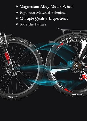 Eurobike E9 Black Electric Mountain Bike