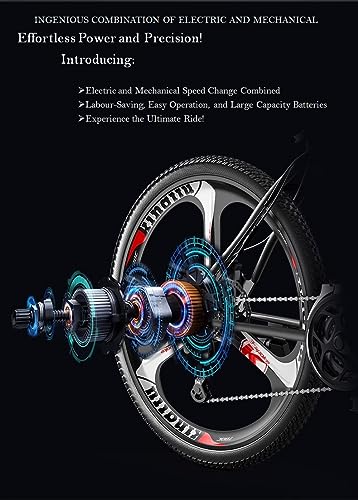 Eurobike E9 Black Electric Mountain Bike