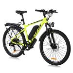 TAOCI Adult Electric Bike, 26" 36V Magnesium Alloy
