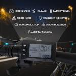 TAOCI Adult Electric Bike, 26" 36V Magnesium Alloy