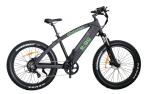 Powerful 1,000W Electric Mountain Bike (26", 48V)