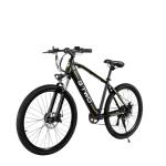 Yoikoto GTWO 48V Electric MTB Bike