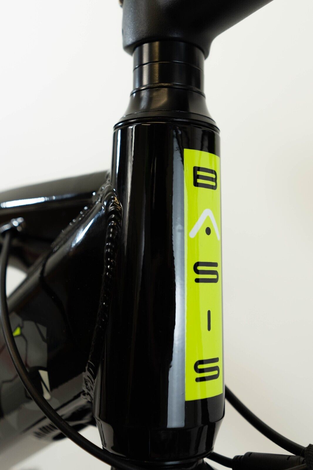 Hunter e-MTB: Powerful Electric Mountain Bike, Integrated Lithium