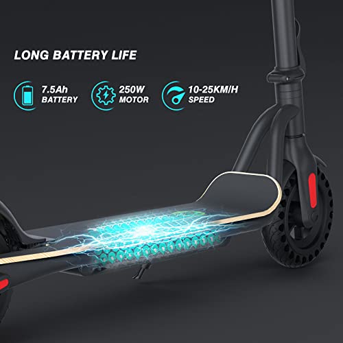 S10 Electric Scooter: Fast, Long-Range, Foldable, Powerful