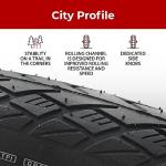 Electric Bike Nylon-Protected Tires