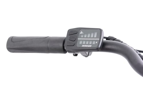 E-Moon 26" Electric Bike: City Bicycle for Adults
