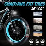 K800 Electric Bicycle with Dual Motors, 23Ah Battery