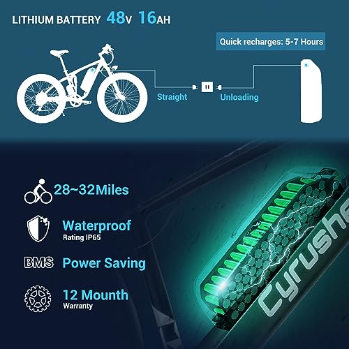 Cyrusher XF650 Electric Mountain Bike 250W 48V