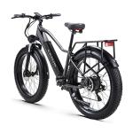 CEAYA 48V Electric Fat Tire Mountain Bike