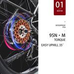 CEAYA 48V Electric Fat Tire Mountain Bike