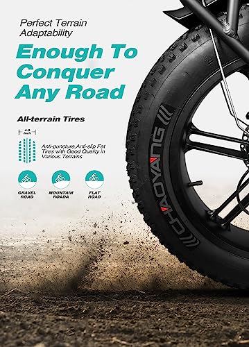 ENGWE Folding E-Bike, 48V16Ah Lithium Battey, Fat Tire
