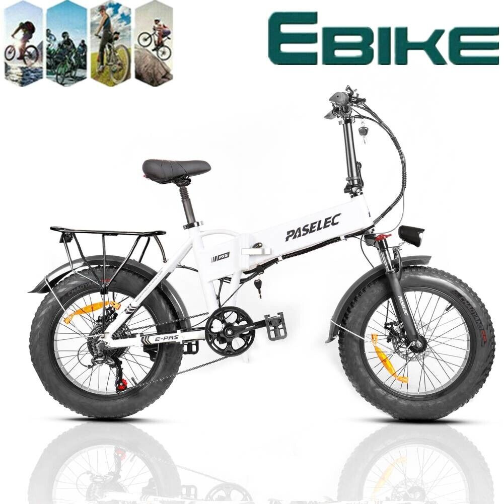 PASELEC 250W Foldable Electric Fat Tire Bike