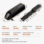 HaiLong E-Bike Battery: 36V 13Ah 481Wh